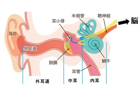 めまいが起こる理由の画像